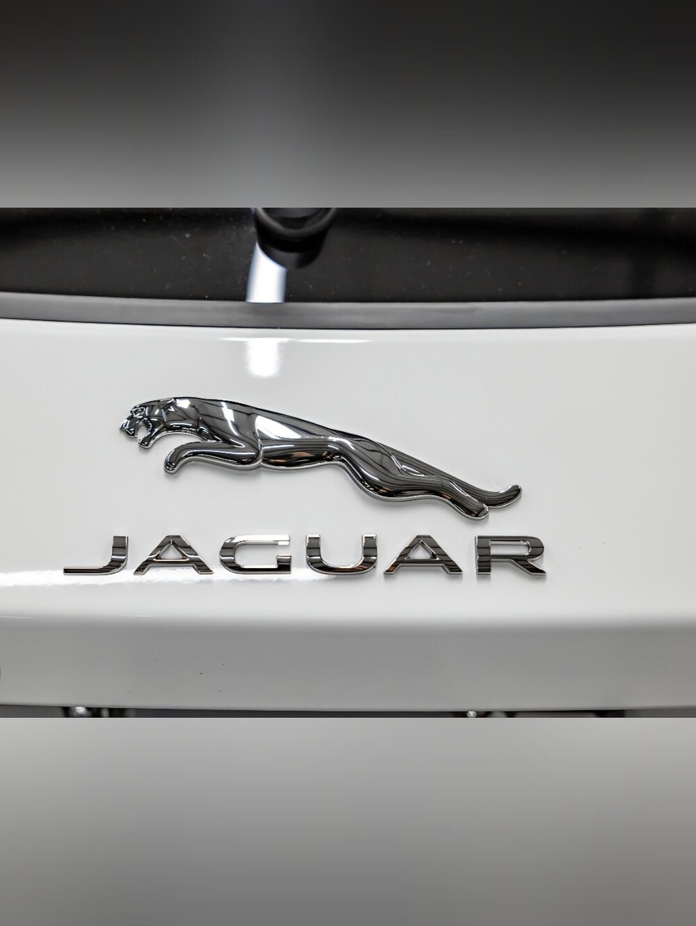 New Jaguar and Cat Badge Emblem Choose Black Or Chrome Colors